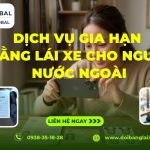 Dịch vụ gia hạn bằng lái xe cho người nước ngoài