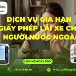 Dịch vụ gia hạn giấy phép lái xe cho người nước ngoài