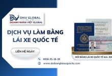 Dịch vụ làm bằng lái xe quốc tế