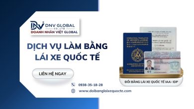 Dịch vụ làm bằng lái xe quốc tế